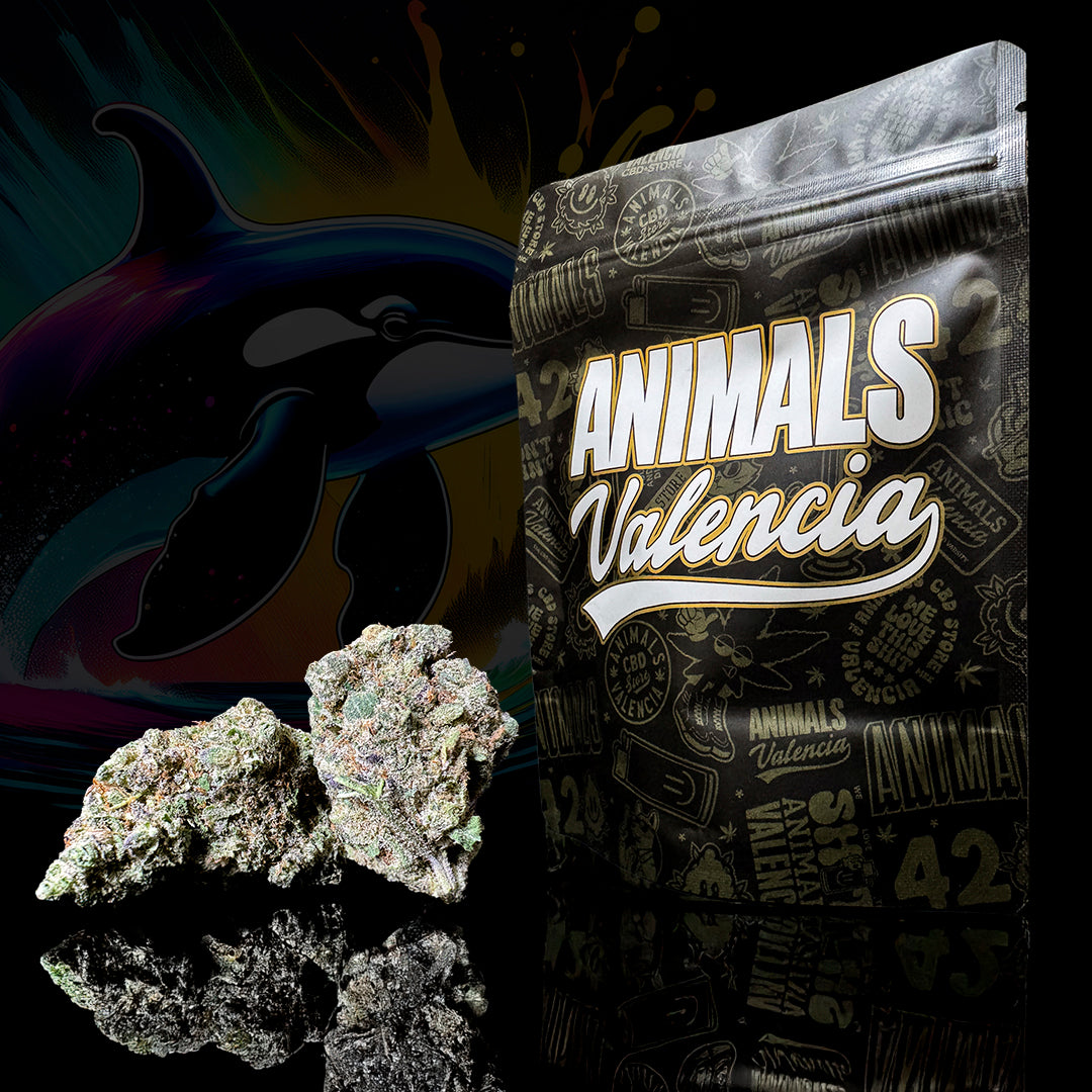 Cogollo de Flor Aromatica Hidroponico Moby Dick 15,2% CBD