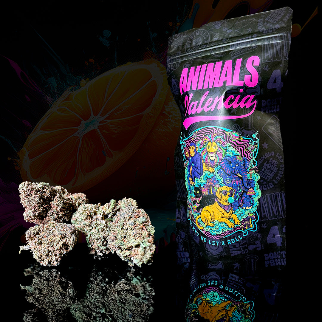 Flor CBD GreenHouse Cali Orange 12% cogollo premium de cáñamo legal