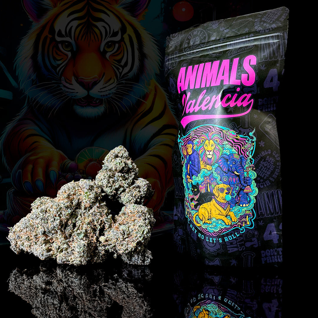 Flor CBD GreenHouse Fruit Cake 12% cogollo natural de alta calidad
