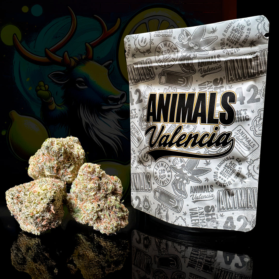 Flor CBD Indoor Lemon Kush 15% cogollo con aroma cítrico intenso