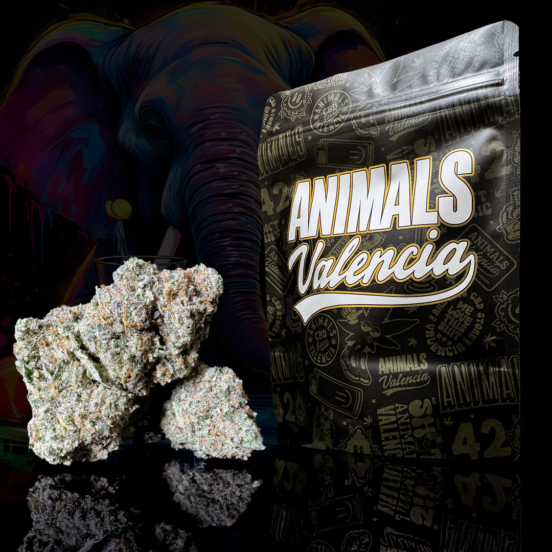 Flor aromatica CBD California Haze Animals Valencia