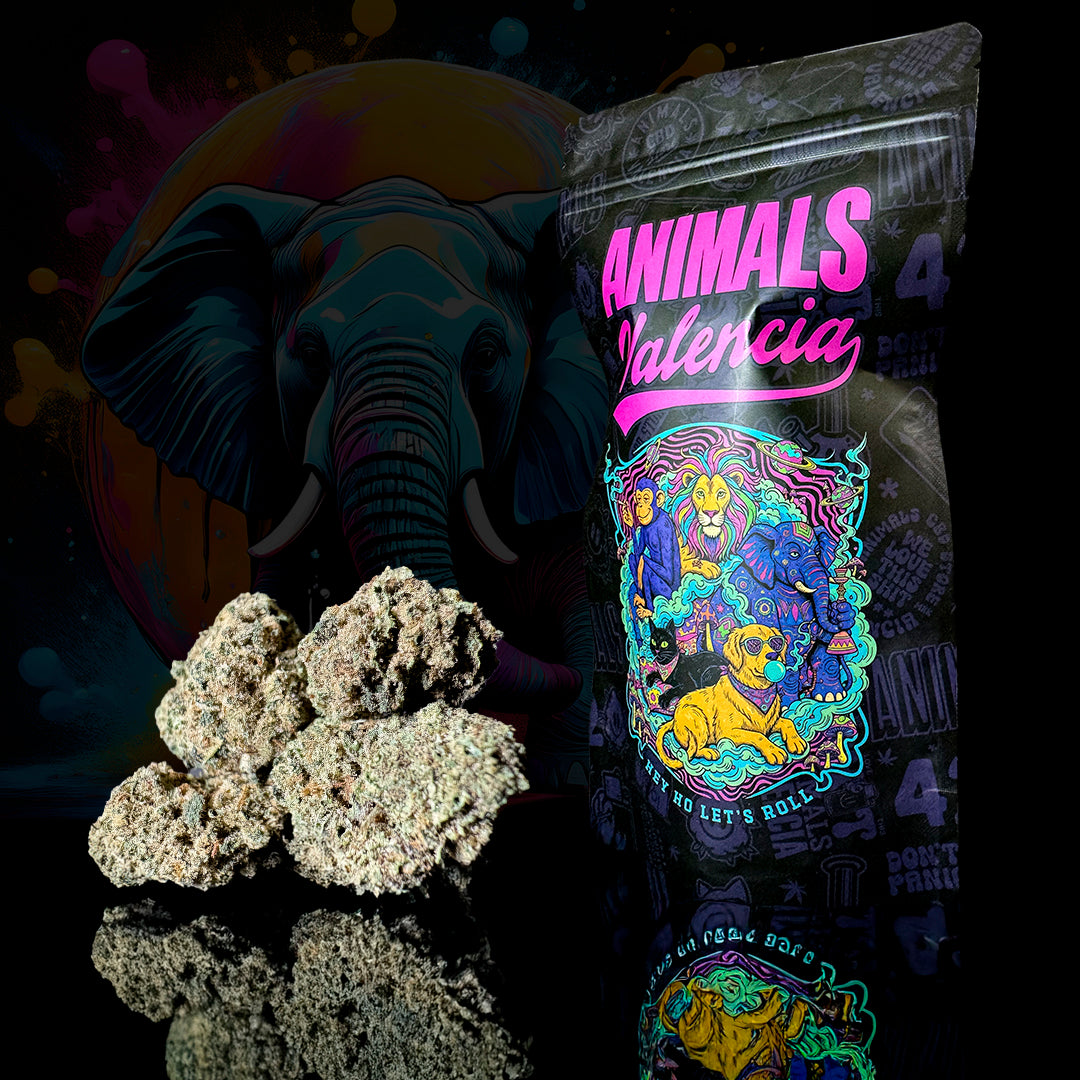 Miniflores de CBD Tutti Frutti con 13,26% 